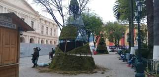 Usa Ayuntamiento de San Cristóbal musgo para adornos navideños
