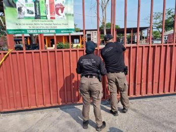 Catean rancho en Suchiate y aseguran armas