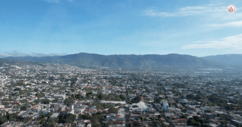 Animales sufren estragos por el calor