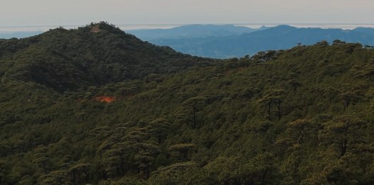 Chiapanecos que viven en los Chimalapas temen desalojo
