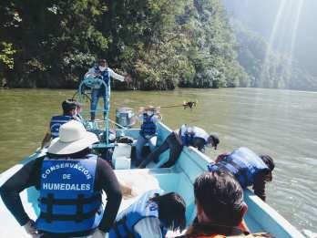 Han retirado 800 toneladas de basura del Cañón del Sumidero