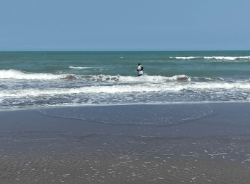 Del intestino a la playa