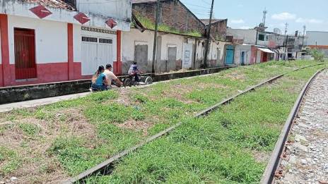 ¡Se los lleva el tren!