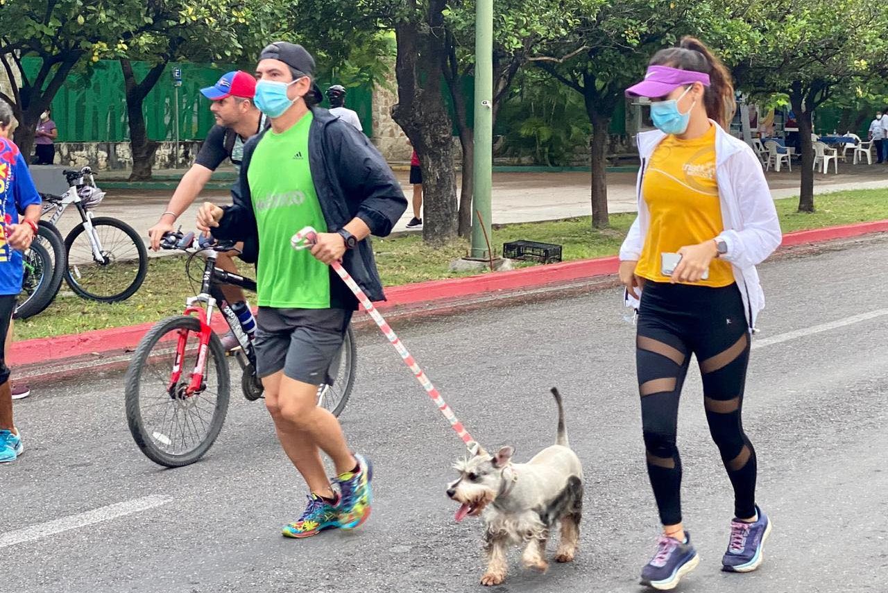 ¡Anímate a correr con tu perro!