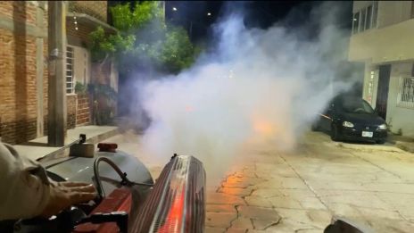 Declaran emergencia en Chiapas por el dengue