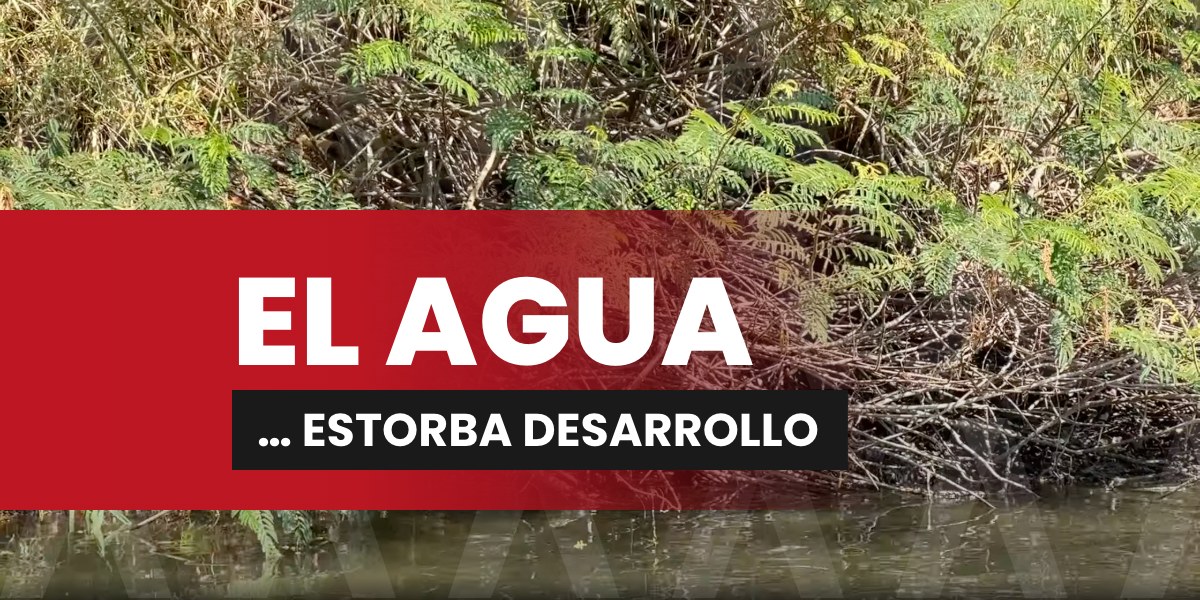 San Cristóbal perdió 84 hectáreas de humedales en solo seis años